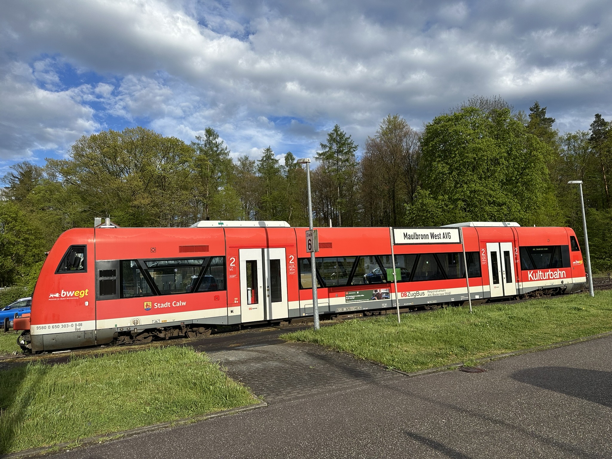 Ein roter Zug steht vor einem Waldstück.