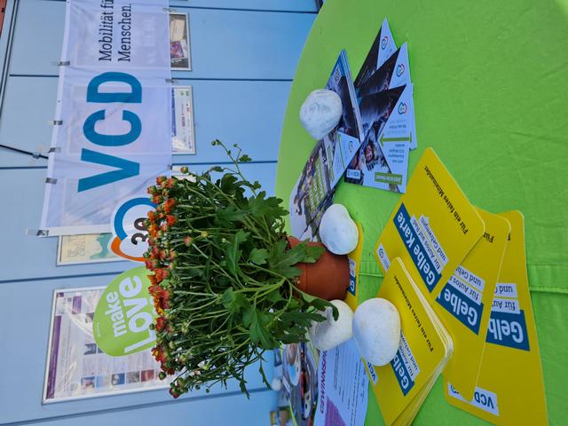 Infomaterial und Blumendeko